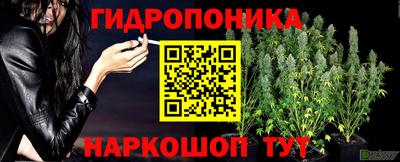 ПСИЛОЦИБИНОВЫЕ ГРИБЫ Бугуруслан