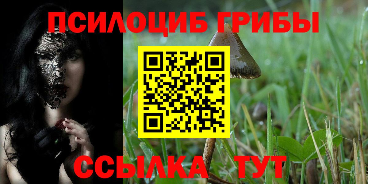 Псилоцибиновые грибы Cubensis Самара